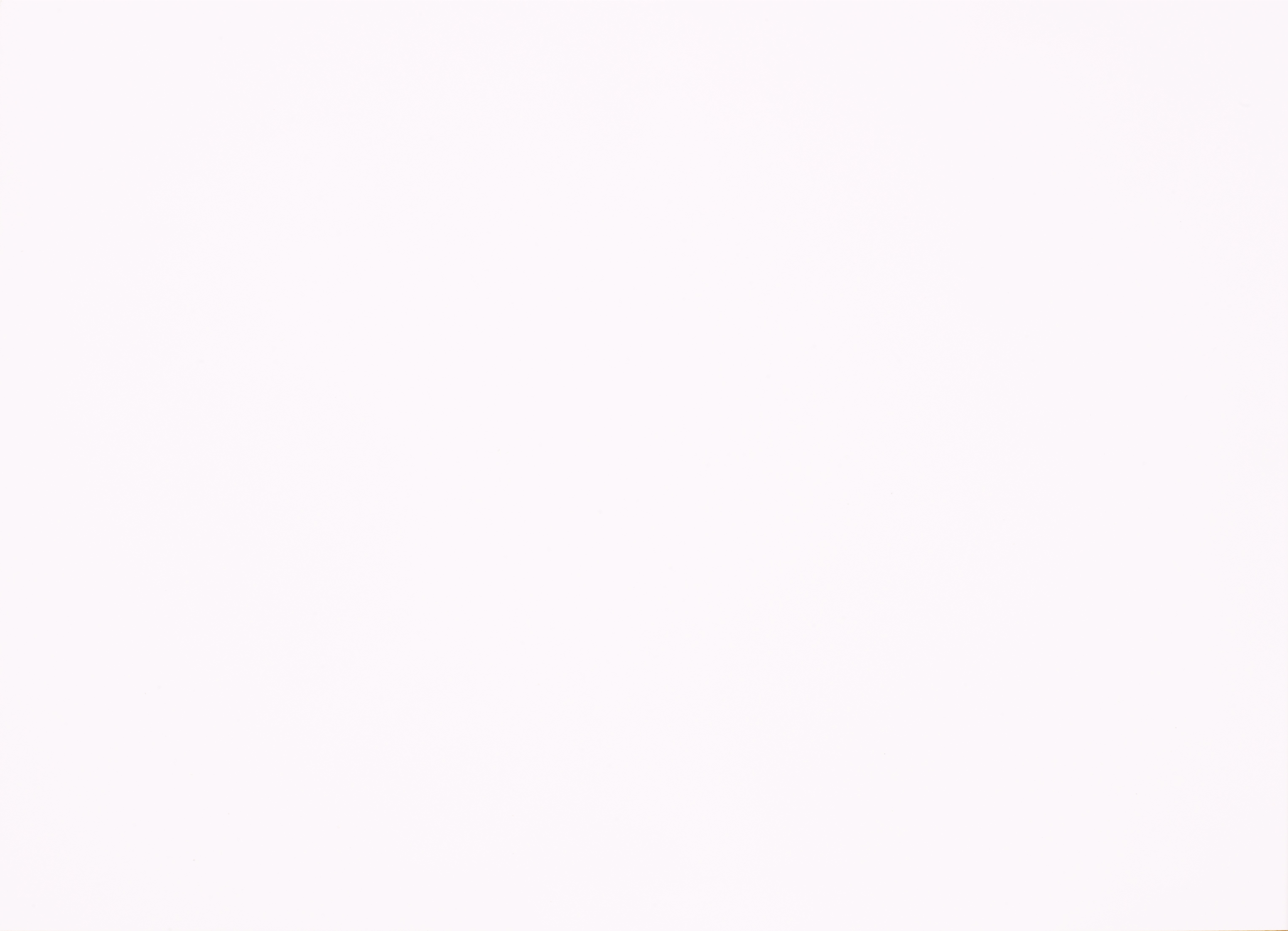 Фасады из плит TSS CLEAF