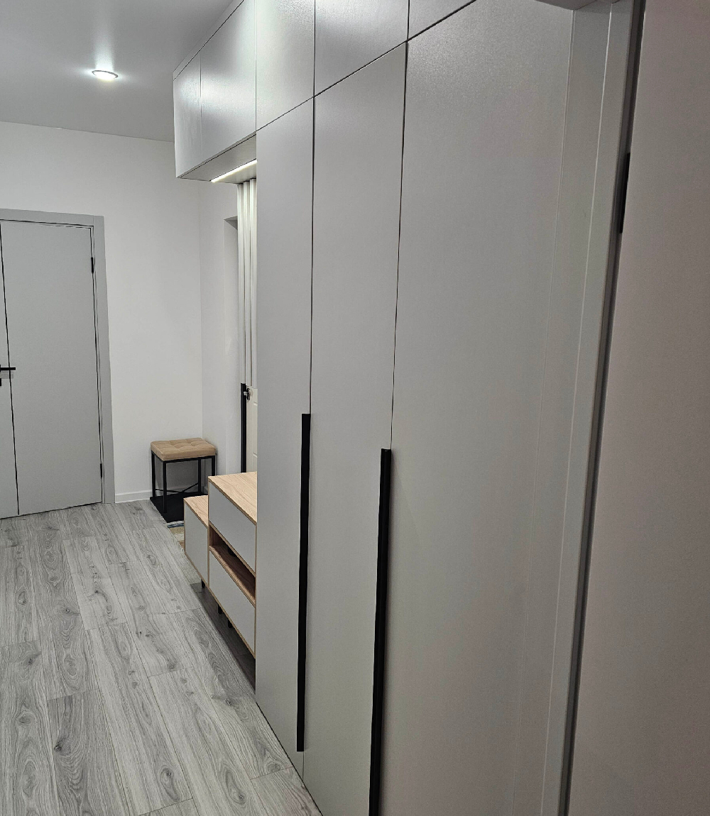 Шкаф-прихожая Вереск2